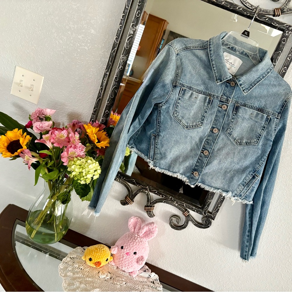 Light Blue Cropped Denim Jacket - Picture 4 of 4